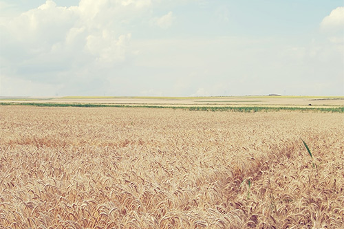 伤感唯美的句子73句