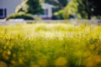 伤感说说看完哭了那种带图片