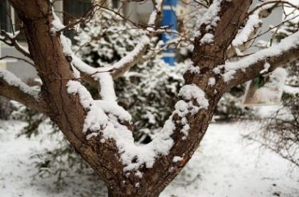 伤感说说看完哭了那种带图片