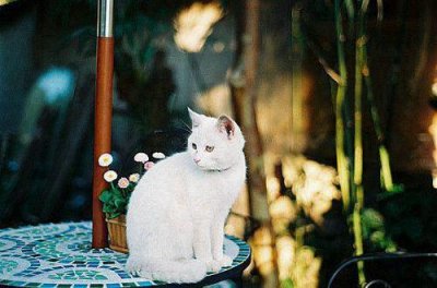 ​凄美伤感的句子