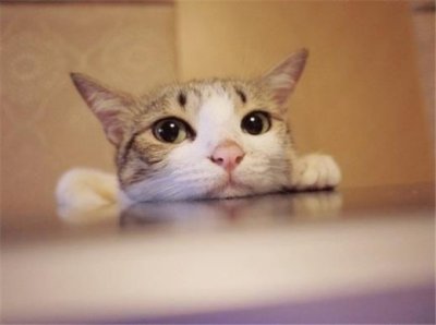 ​抖音伤感句子图片（抖音里伤感的句子是怎么做的）