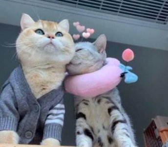 ​描写夕阳的伤感句子34句