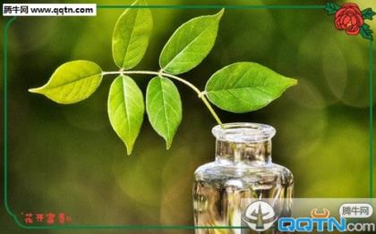 打工人的伤感句子