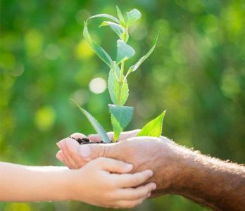 ​2025年情人节单身一个人过的伤感文案(92句)