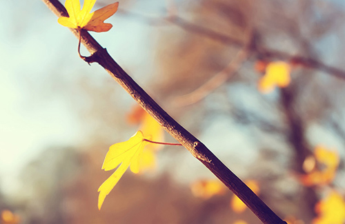 qq说说伤感大全81句