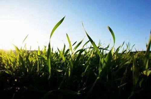 表示心里难受的伤感句子