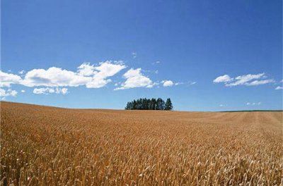 ​伤感语录表达心情失落的句子(精选80句)