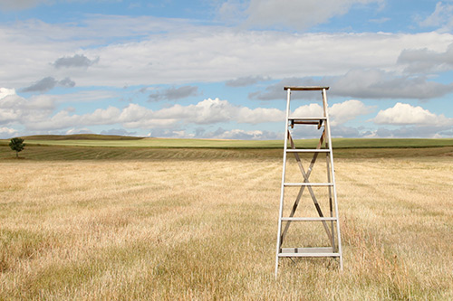 搞笑伤感的句子摘录(精选67句)