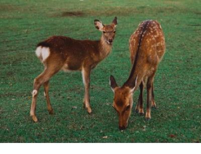 深夜发的伤感说说