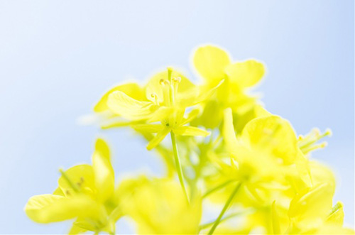 人生格言伤感82句