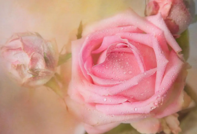 ​钓鱼发朋友圈的搞笑简短句子27句