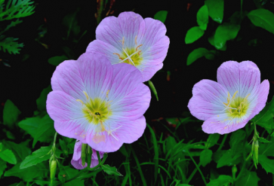 ​qq自动回复的可爱搞笑文案收藏(40句)