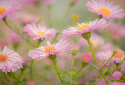 ​口令红包有趣搞笑的经典文案