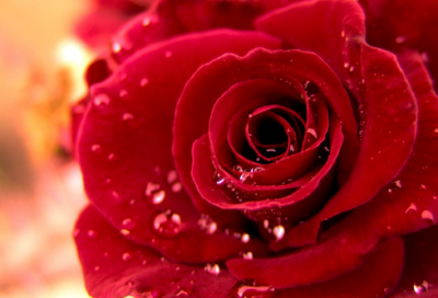 ​招聘很吸引人的经典搞笑文案集合四十句