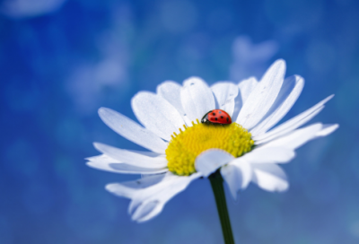 ​喝酒搞笑句子集锦(收藏22句)