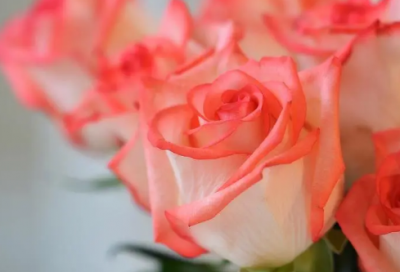 ​幽默搞笑短句子励志(锦集43条)