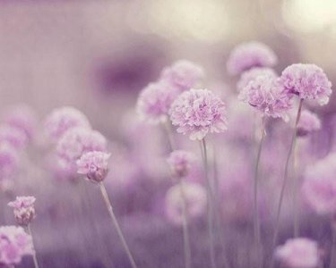 ​姐弟朋友圈搞笑的说说大全