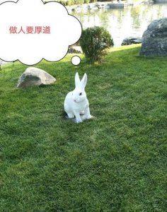 ​治愈系笑话段子(超搞笑的段子笑掉大牙)