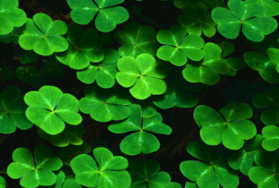 ​搞笑幽默考試祝福语大全(精选14句)