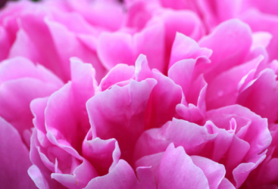 ​晒自拍的搞笑幽默句子(汇总27句)