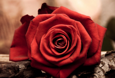 ​整蛊用的微信拍一拍搞笑后缀文案 【荐】