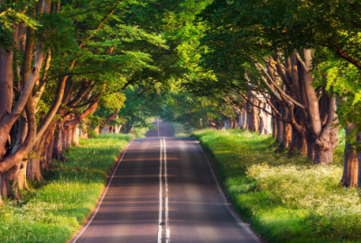 ​毕业同学录留言搞笑