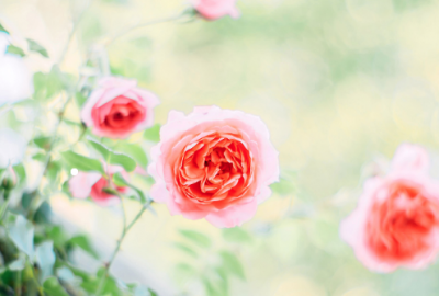 ​光棍节搞笑说说