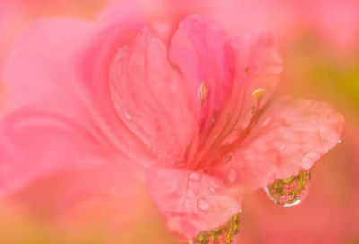 ​幽默搞笑接地气文案句子19句