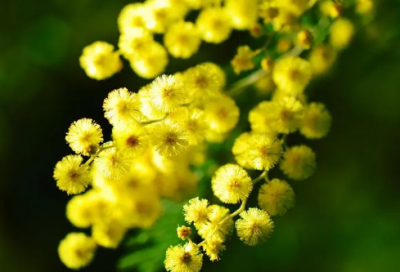 ​超搞笑的调皮自恋文案 【分享】