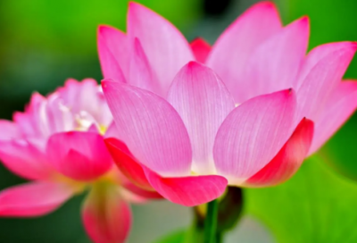 ​让人目不转睛的搞笑招聘文案