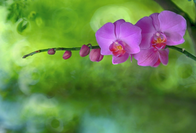 ​情人节搞笑段子图片文案18句