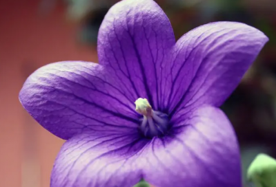 ​夸男生帅的搞笑文案(精选25句)