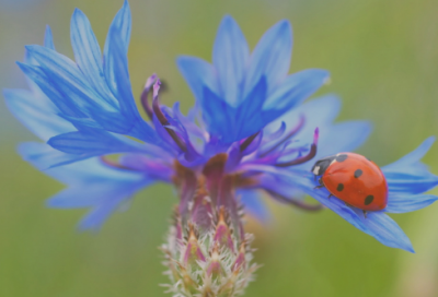 ​知乎热门的防短信诈骗的搞笑文案收藏
