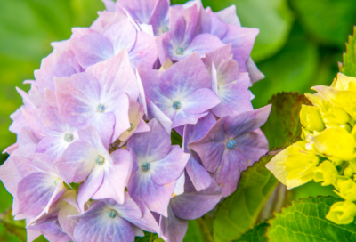 ​搞笑十足的朋友圈招聘文案