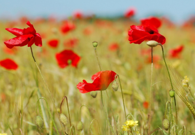 ​QQ自动回复可爱俏皮句子