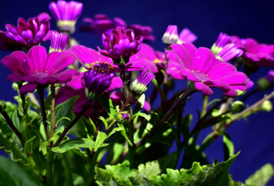 ​晒奶茶的搞笑文案(简短28条)