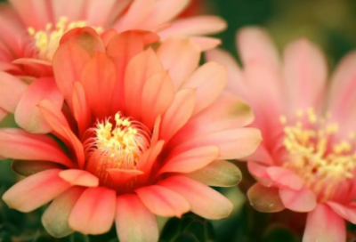 ​六一儿童节逗逼搞笑句子16句