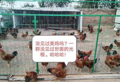 ​给我讲个笑话,如果好笑的话