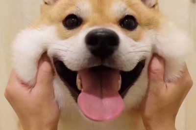 ​哄女生开心的笑话，哄女孩子开心的小笑话