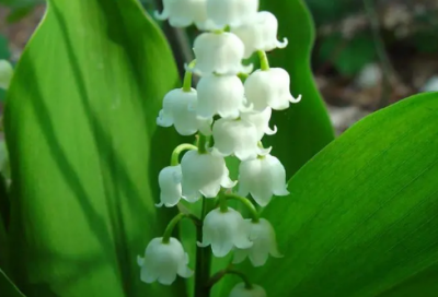 ​吃鸡搞笑句子简短(汇集38条)