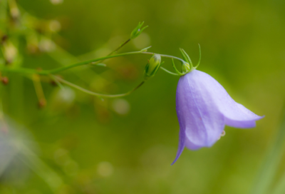 ​搞笑的留言短句子大全26条