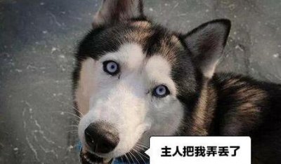 ​笑点低的笑话(让人笑哭的笑话段子)