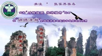 ​缉毒大剧盘点，每一部都是大写加粗的良心剧！