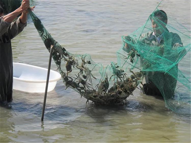 阳澄湖在哪里(一文了解阳澄湖的地理位置)