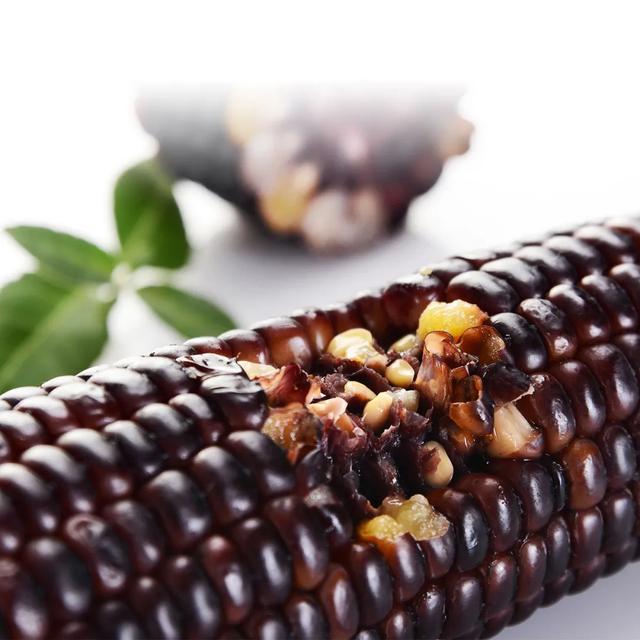 黑糯玉米山西忻州(山西忻州黑糯玉米)(7)