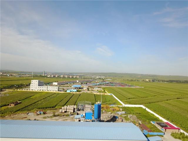 黑糯玉米山西忻州(山西忻州黑糯玉米)(3)