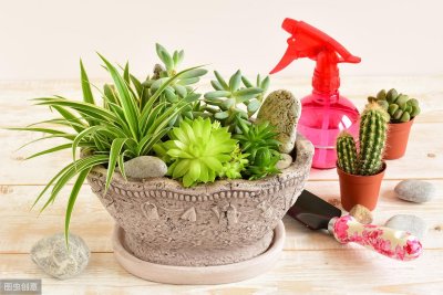 ​家里再穷也要养这3种花（家里养什么花风水好旺财）