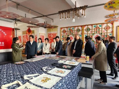 ​省人大常委会民宗侨外工作委员会主任文引学一行来我区开展执法检查