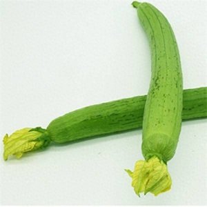 ​膳滋养｜老广爱吃的“水瓜”竟如此美味