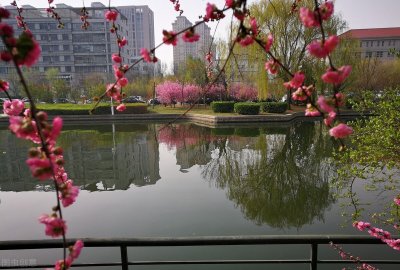 ​六首一字诗词，或豪放，或优雅，或优美，或婉约，都让人过目难忘